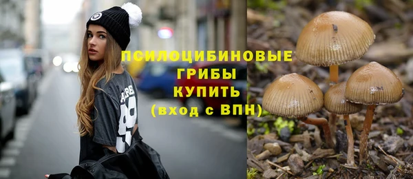 бутират Яранск