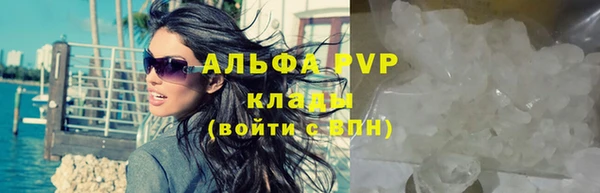 ГАЛЛЮЦИНОГЕННЫЕ ГРИБЫ Богородицк
